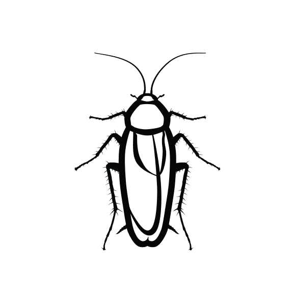 Cockroach Control