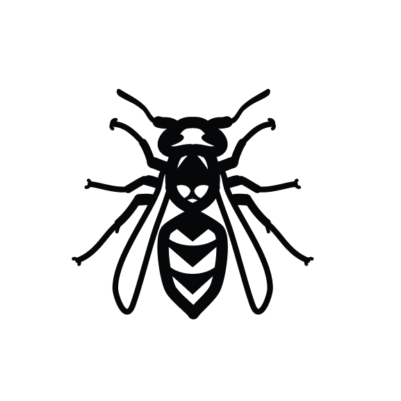 Wasp/Yellow Jacket Removal