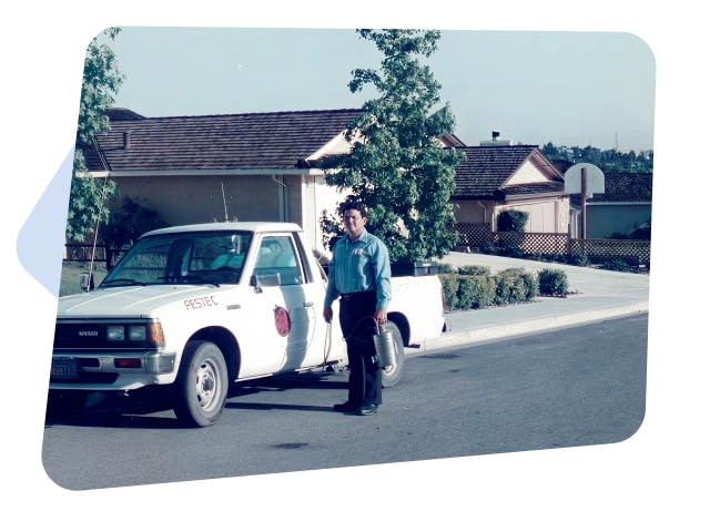 Pestec establishment journey