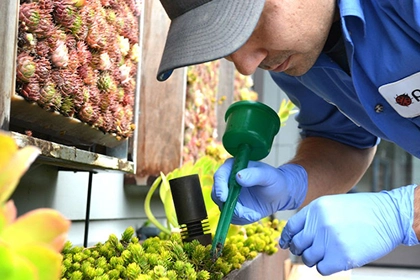 Embrace Sustainability