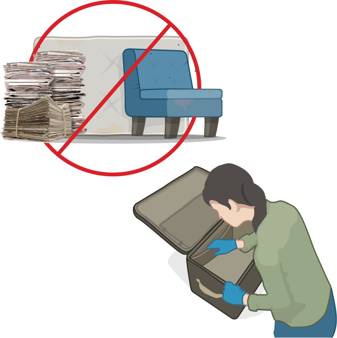 How Do I Prevent a Bed Bug Infestation