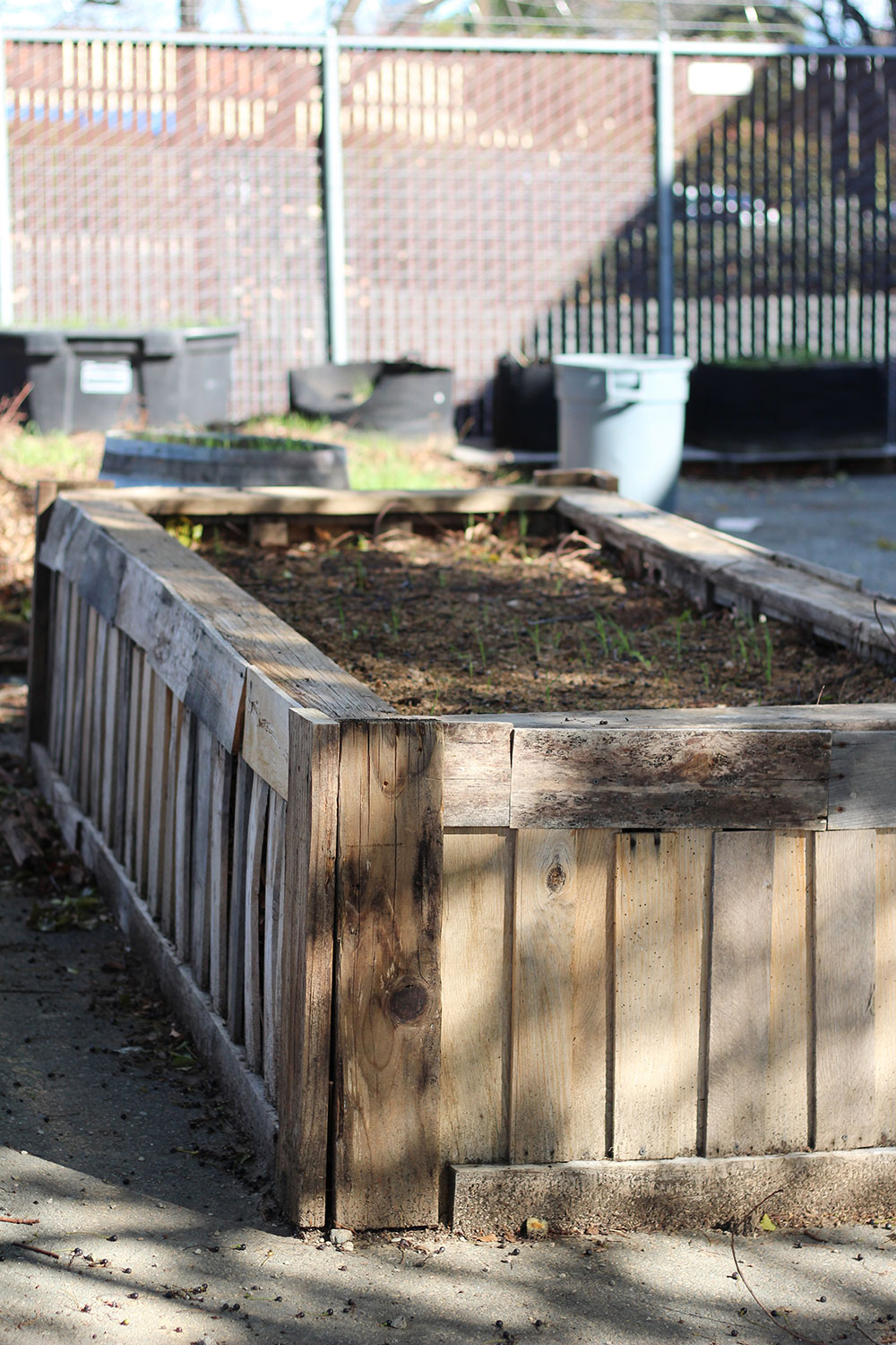 Introduction of biochar