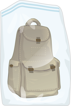 Recommendations for Bed Bug Prevention