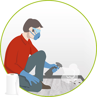 How to Safely Clean Up Rodent Droppings