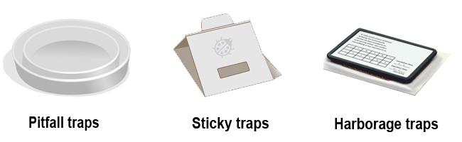 Recommended Bed Bug Traps