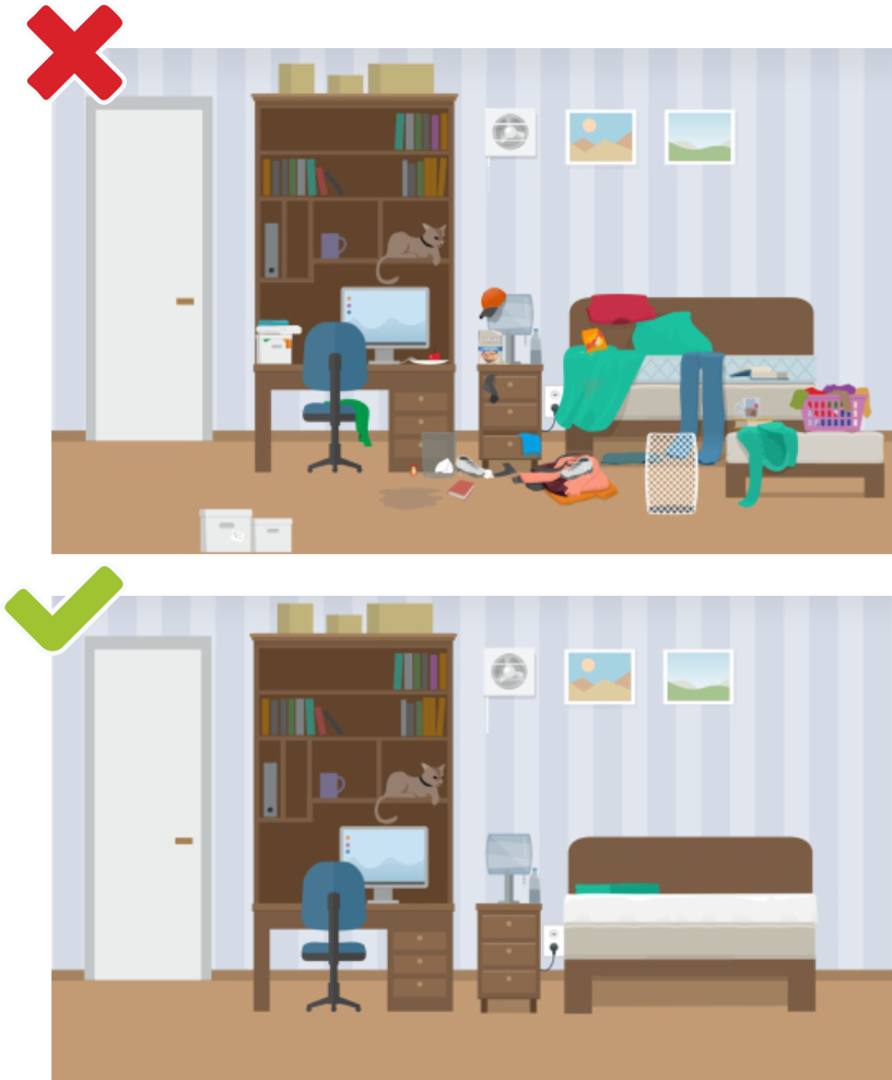 Reported Bed Bugs Now What