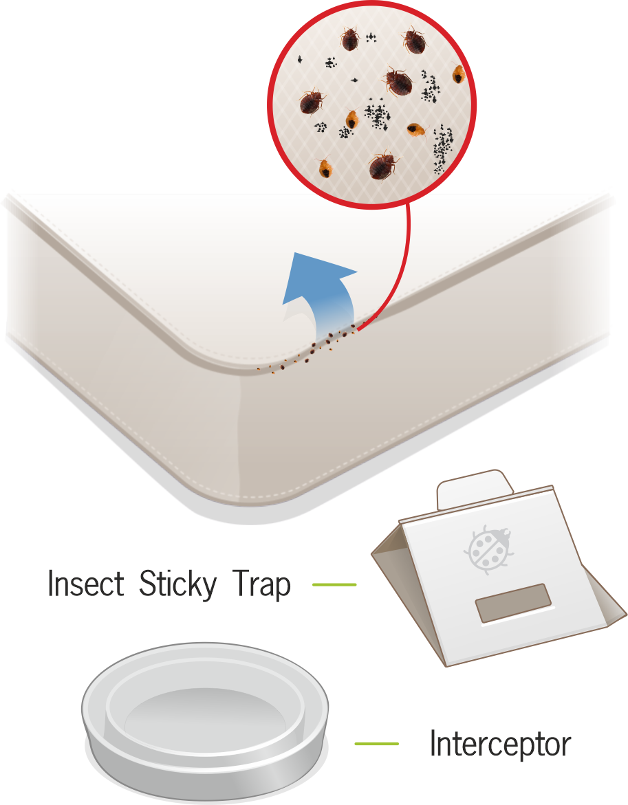 What We’re Going To Do