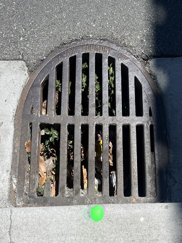 Serviced storm drain