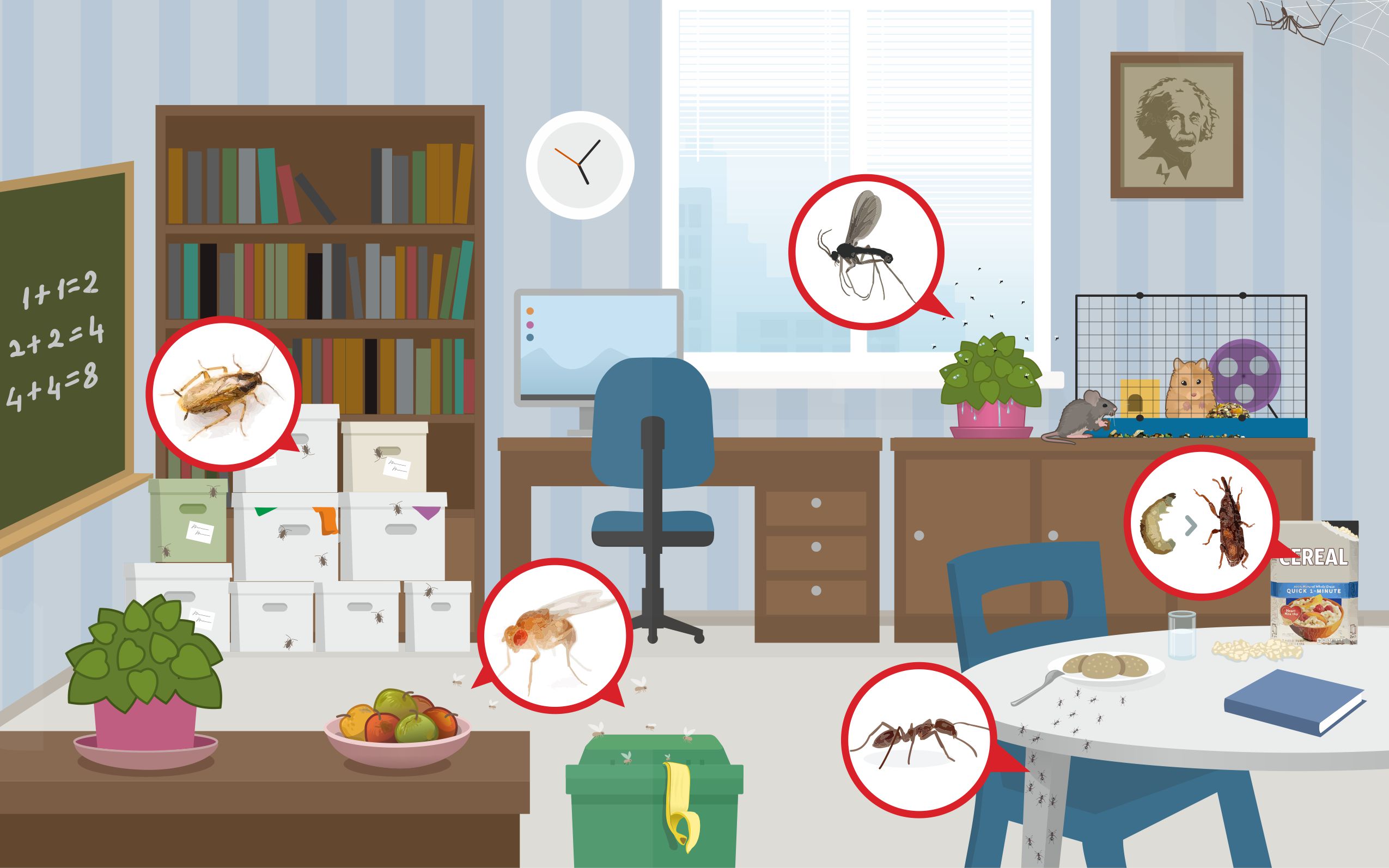 Integrated Pest Management For Classrooms