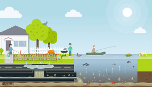 Stormwater Runoff Pesticide Pollution Prevention Tips