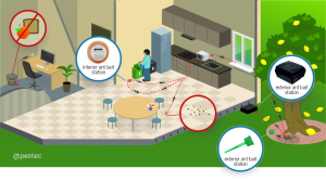 Ants In The Workplace