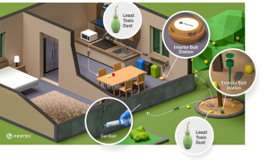 Residential Ant Management