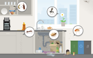 Integrated Pest Management For Offices