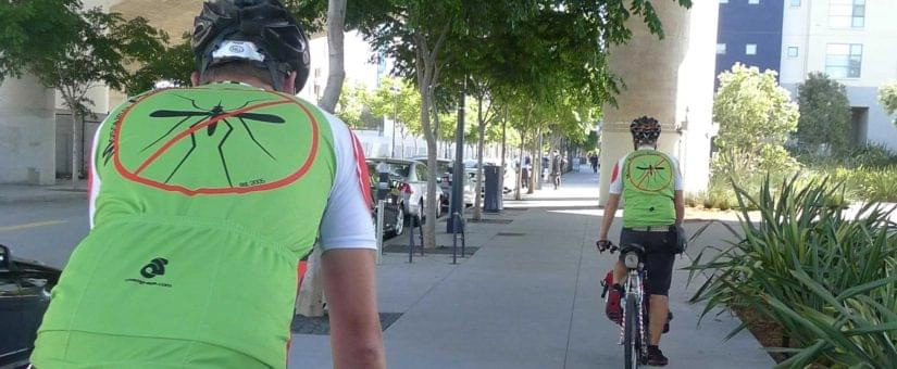 mosquito-photo-1_1632994895