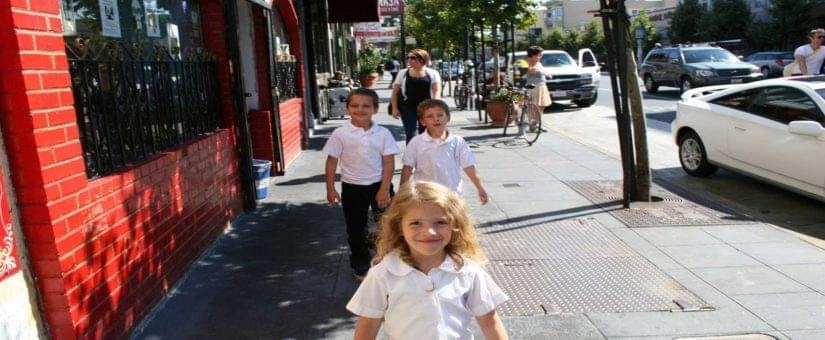 mosquito-photo-2_1632994898