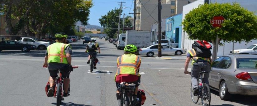 mosquito-photo-4_1632994905